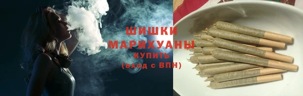 молекула духа Горно-Алтайск