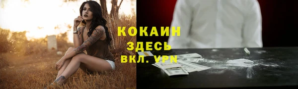молекула духа Горно-Алтайск