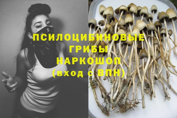 стафф Горнозаводск
