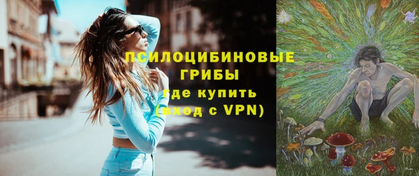 стафф Горнозаводск