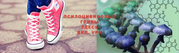 стафф Горнозаводск