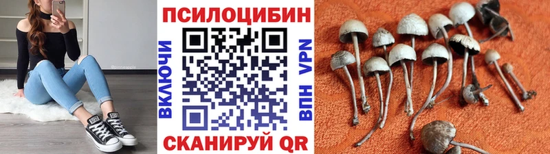 Галлюциногенные грибы GOLDEN TEACHER  Купить где  Костомукша 